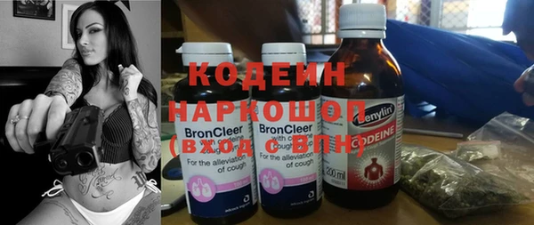 прущие грибы Анжеро-Судженск