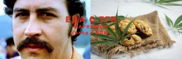 индика Осинники