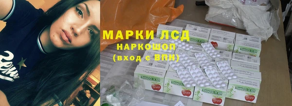индика Осинники