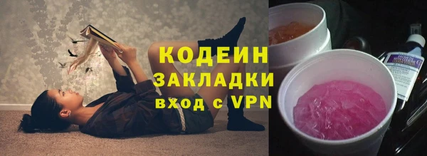 индика Осинники