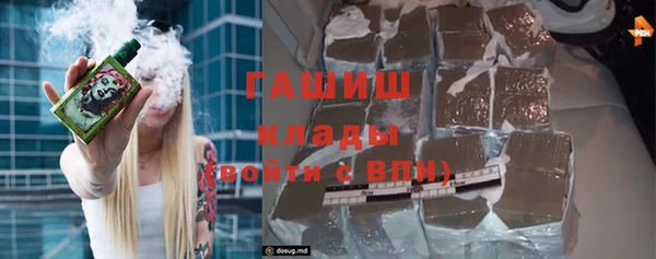 индика Осинники