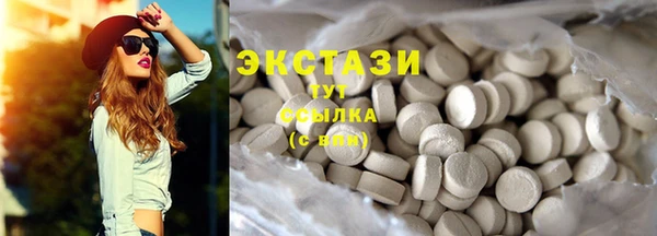 индика Осинники