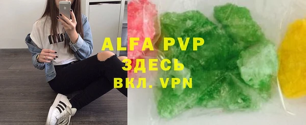 индика Осинники