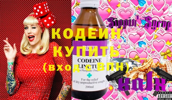 индика Осинники