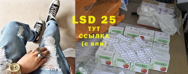 индика Осинники