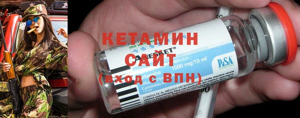 индика Осинники