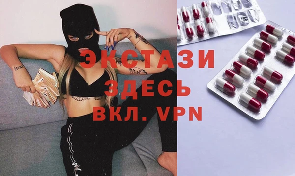 индика Осинники