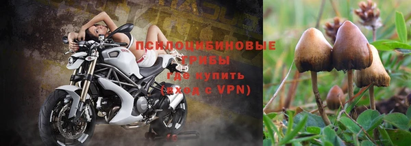 винт Иноземцево