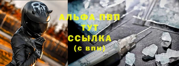 индика Осинники
