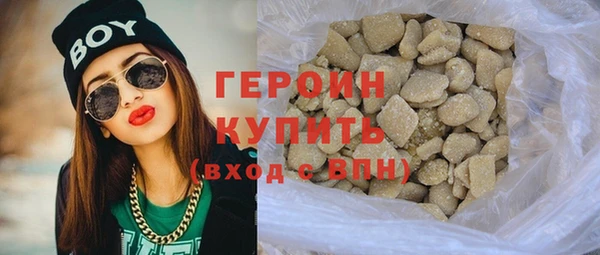 индика Осинники