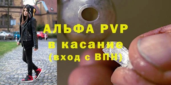 индика Осинники